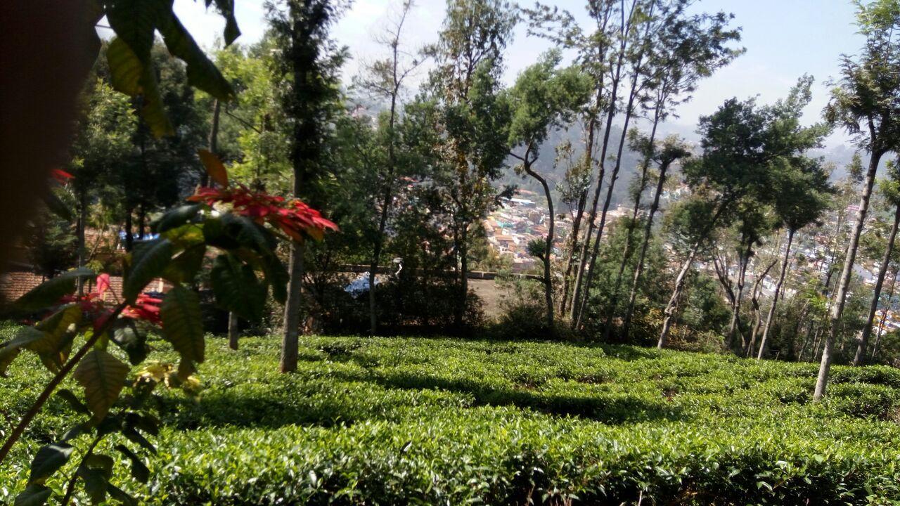 Hotel Ywca Wyoming Coonoor Zewnętrze zdjęcie